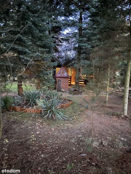działka ROD 500 m2 miejscowość Krępa