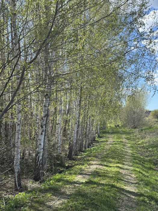 Działka – duży potencjał inwestycyjny - Widok 4