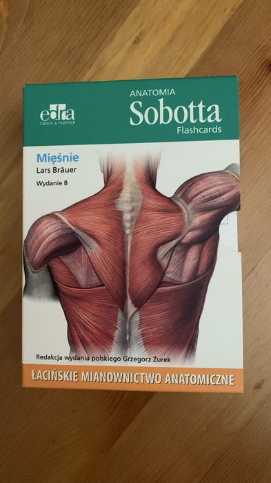 Zestaw fiszek Sobotta