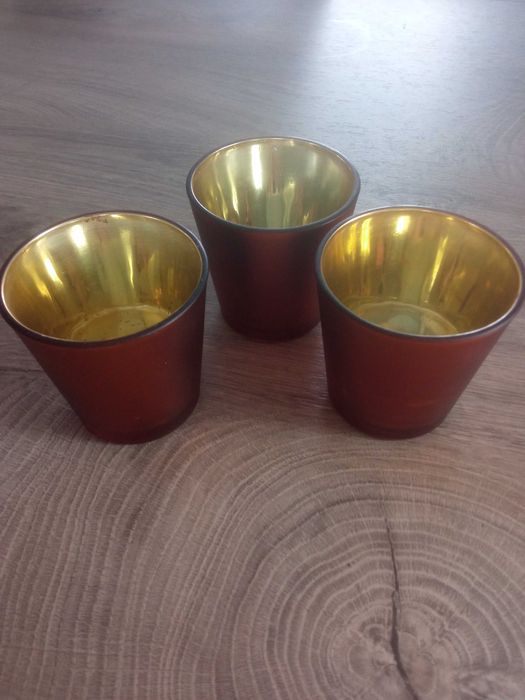 Szklane osłonki na sukulenty