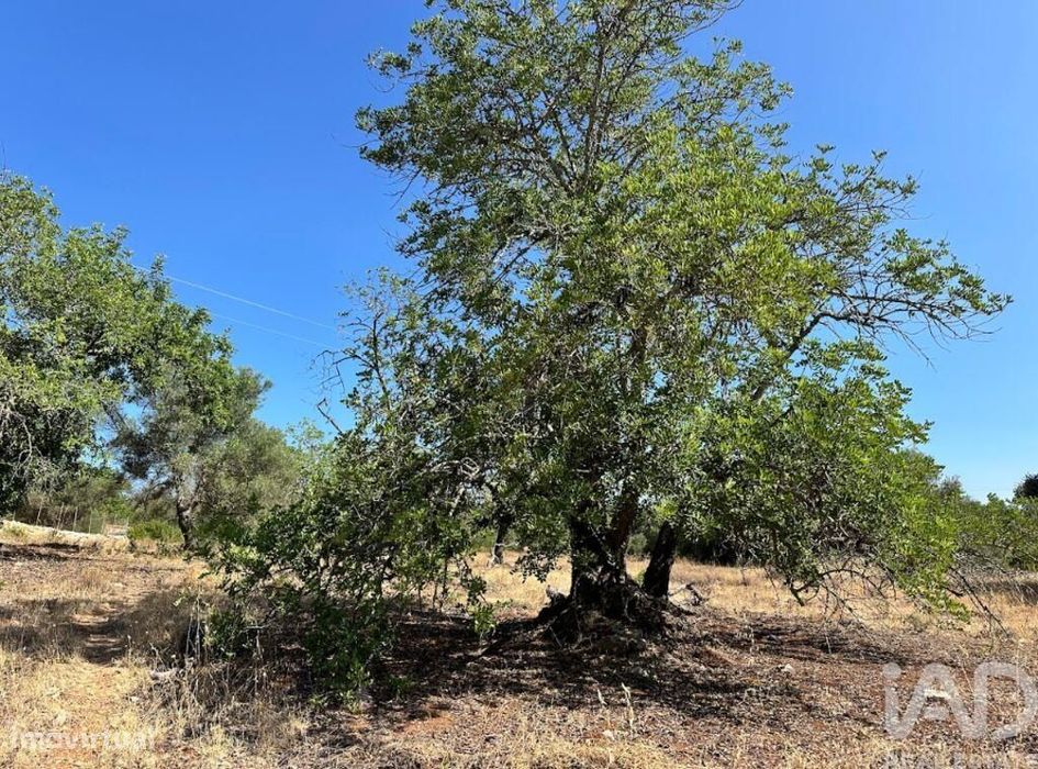 Terreno em Luz de Tavira e Santo Estêvão de 5570,00 m2