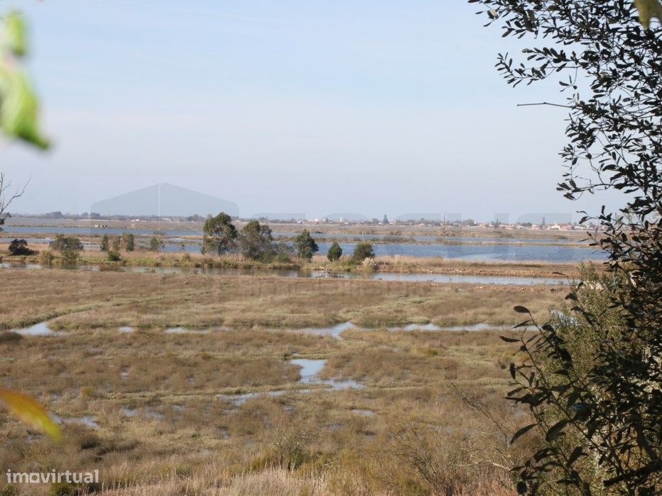 Terreno com vistas Ria - Passadiços