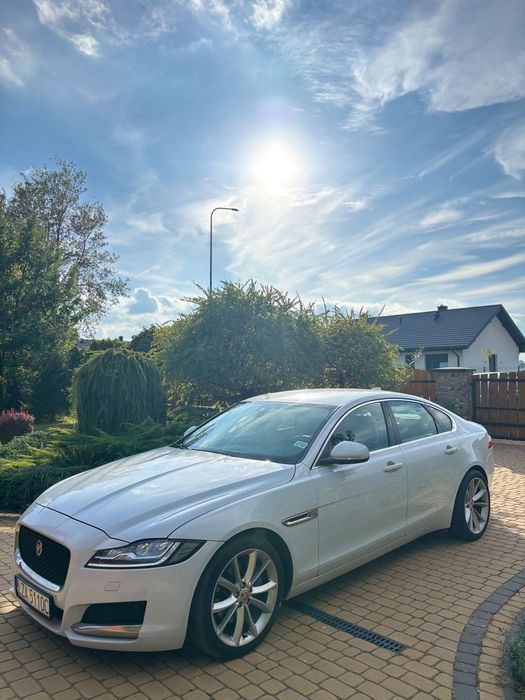 Jaguar XF Jaguar Xf salon Polska po rozrządzie