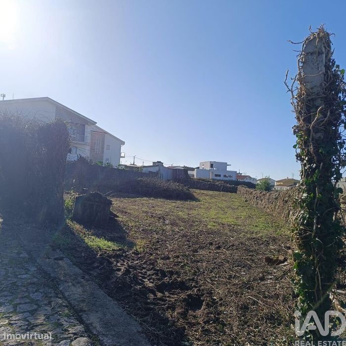 Terreno em Moledo e Cristelo