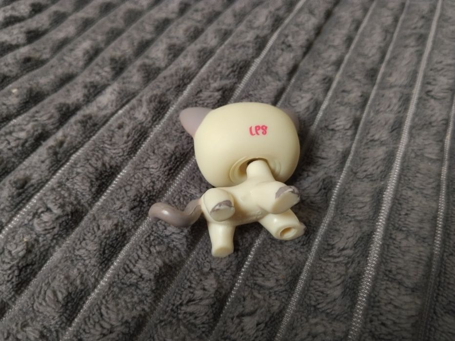 Lps shorthair 1116