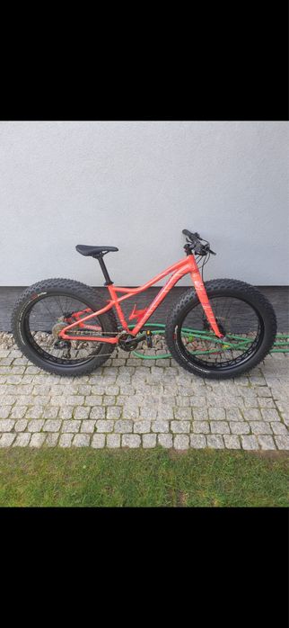 Rower specialized fatboy