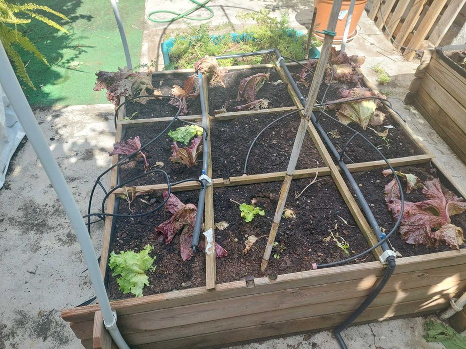 Vaso Horta para cultivo