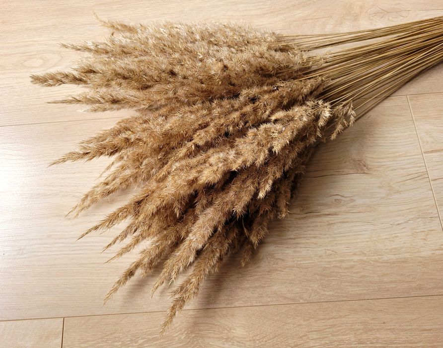 półprodukty do wianków suszki suszone bukiety kwiaty dodatki itp