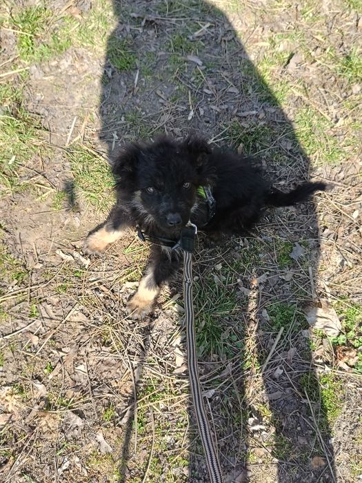 Pokochaj dużym sercem małe