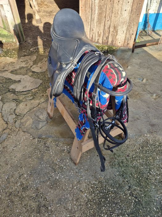 Pónei castanho e arreio completo