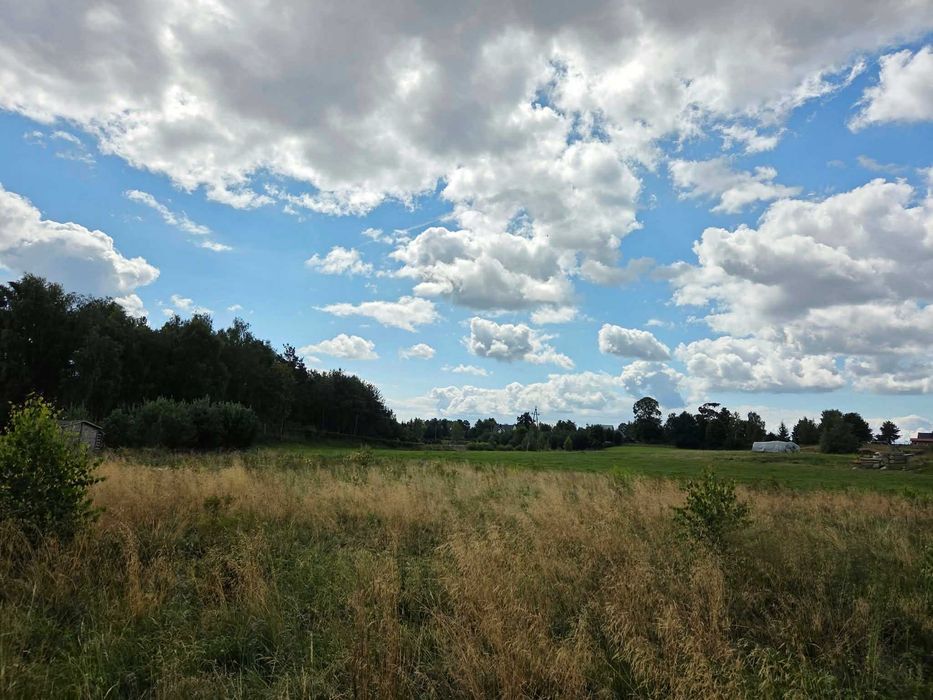 Działka nad jeziorem w sercu Kaszub - Widok 5