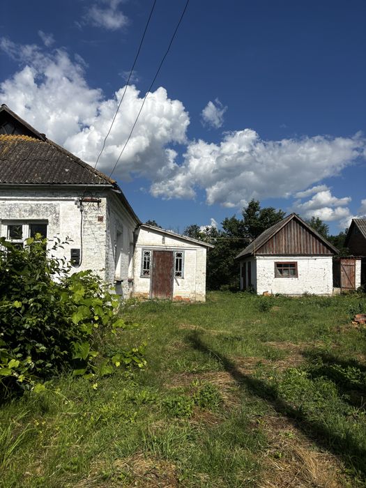 Продам хату в селі з господарськими будівлями та земельною ділянкою