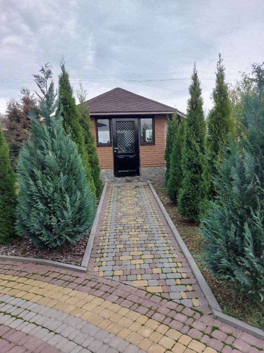 продам будинок пгт Високий