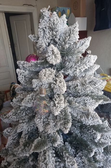 Продам новорічну ялинку. 160 см висота.