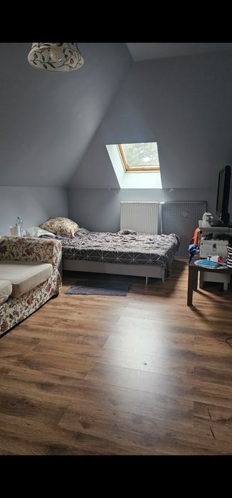 Pokój dla kociolubnej kobiety
