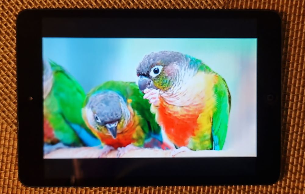 Apple IPad Mini A1432 16Gb Gwiezdna Szarość BDB