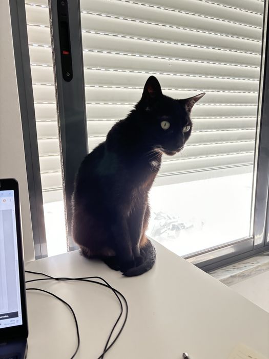 Hospedagem no meu domicilio