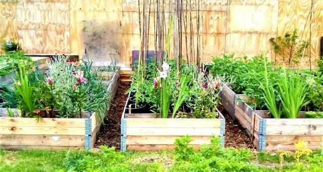 Caixa Protectora / Embalamento Mercadoria / Colar Madeira 120x80