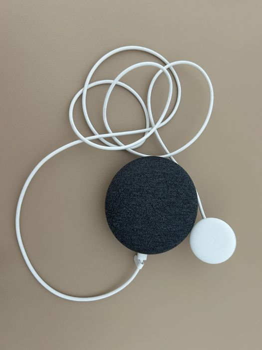 Google Home Mini HOA Cinza
