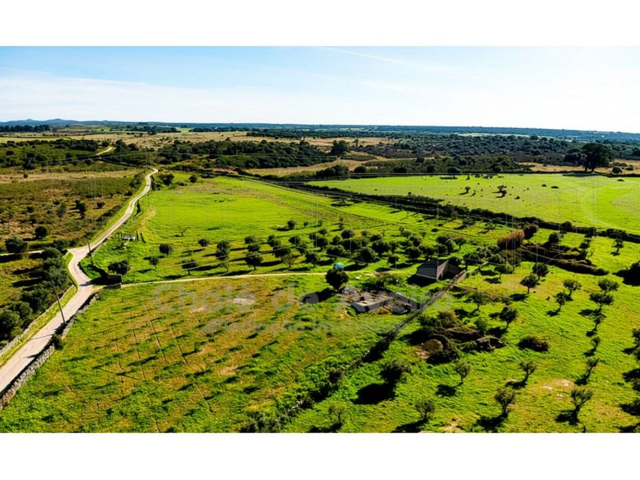 Herdade  Venda em Espírito Santo, Nossa Senhora da Graça e São Simão,N