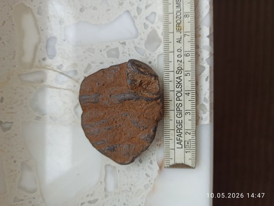 Skamieliny minerały