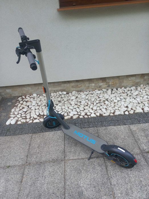 Hulajnoga Motus Scooty 10 lite