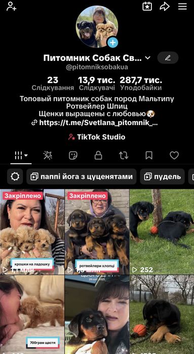 Нужен супер ротвейлер? Вам к нам за щенком.