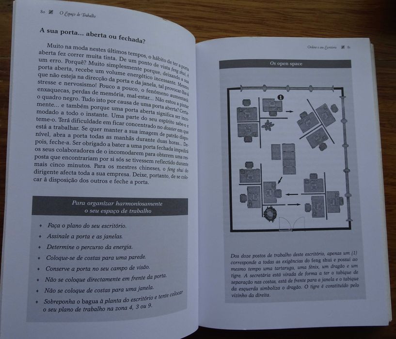 Feng Shui Nos Negócios de Siska Von Saxenburg