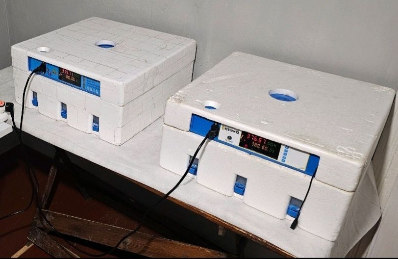 Продам інкубатора