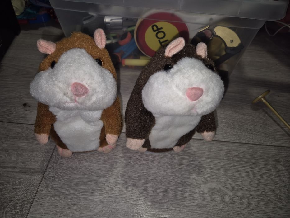 Dwa powtarzające chomiki