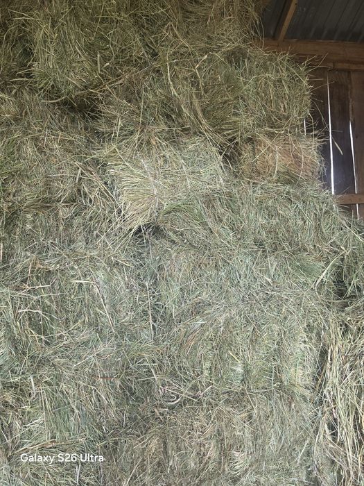 Продам сіно в тюках