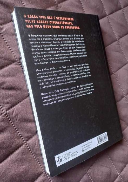 Como Enfrentar Desafios e Viver a Vida com Entusiasmo - Dale Carnegie