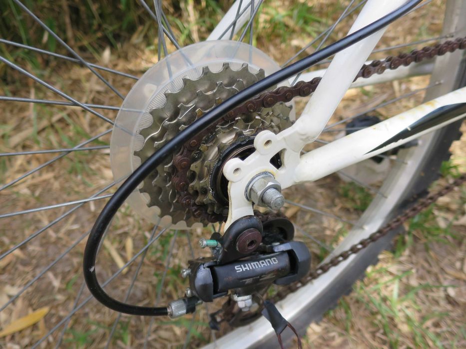 Aluguer de bicicletas passeio Palmela castelo serra Rent a Bike