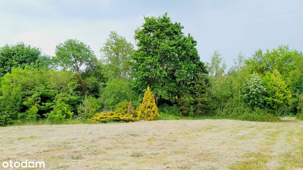 Działka piękna niedaleko lasu