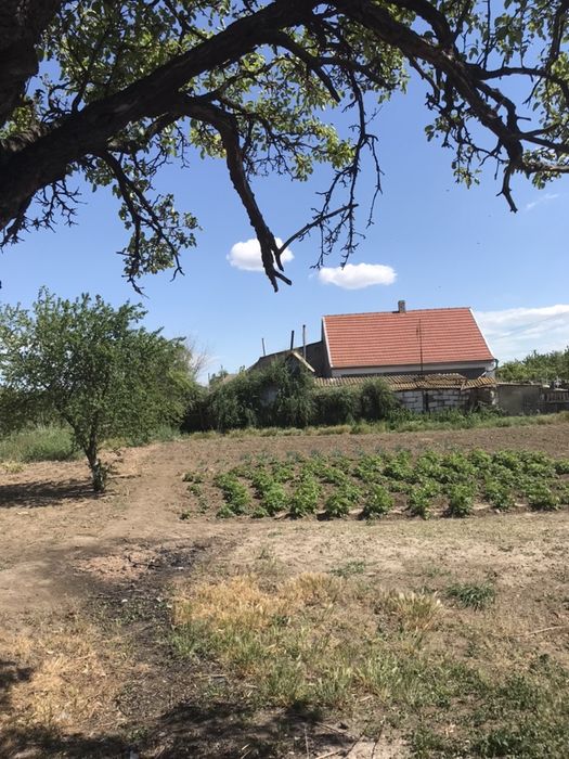 Частный дом Выпасное