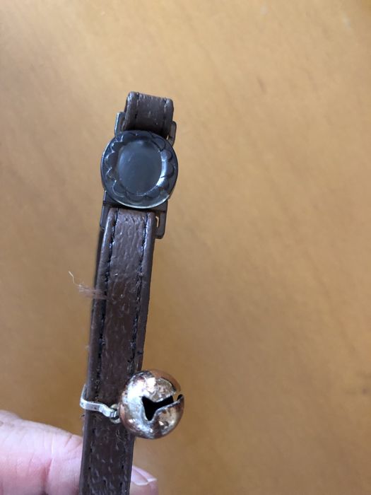 Coleira  para gato com guizo