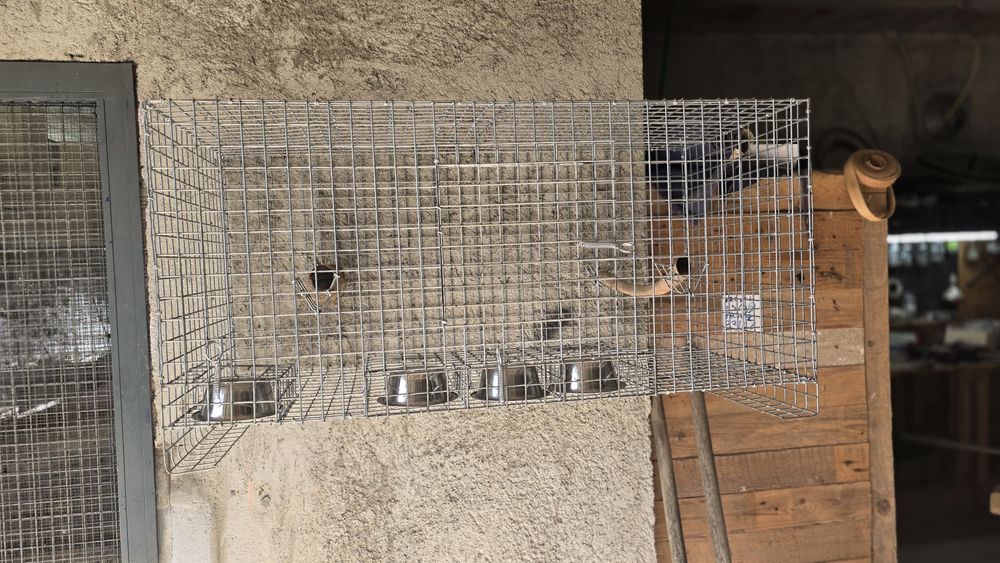 Gaiolas  fortes novas