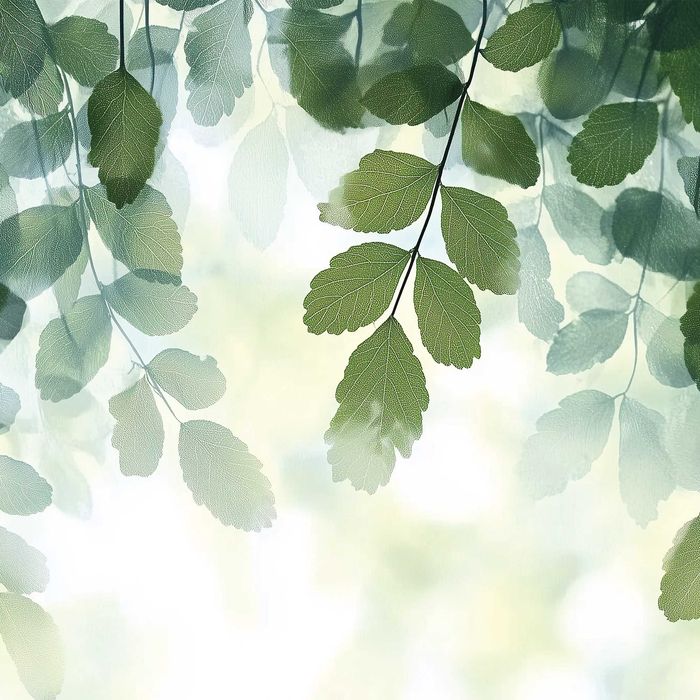 Fototapeta Zielone Opadające Liście Biel Zieleń Boho Natura 3D + KLEJ