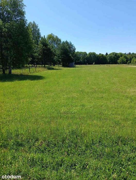 Działka 5200m² z WZ, wymiary ok70x80m, media w granicy.Możliwy podział
