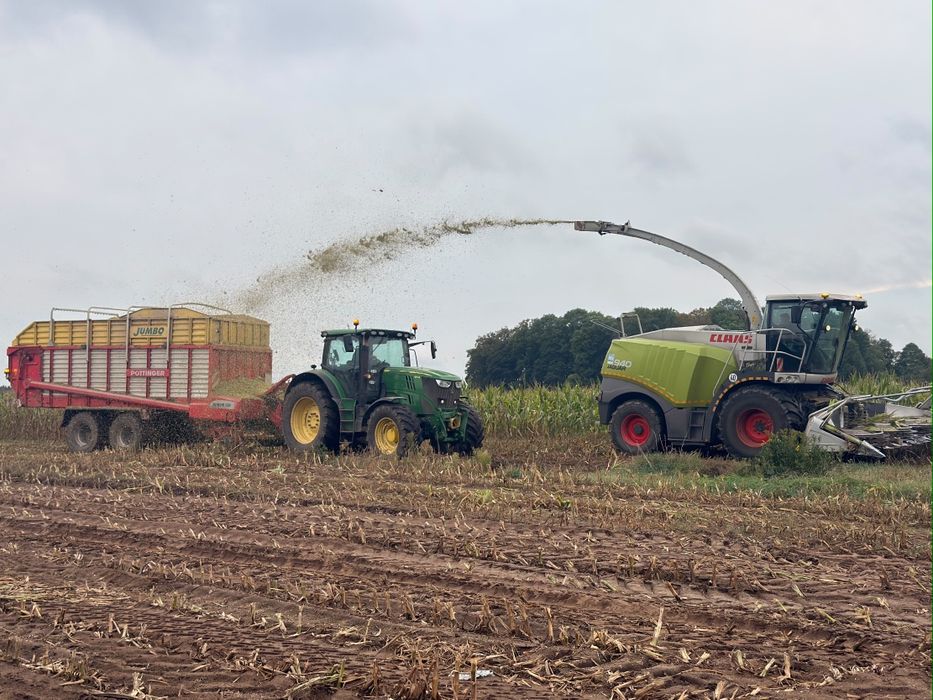 Zbiór koszenie kukurydzy z  odwozem lub bez usługi  AGROKOMPLEX