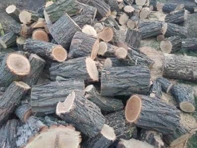 продаю дрова акация сухая