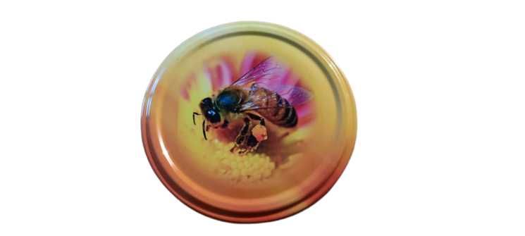 Zakrętki do słoików MIÓD FI82 Naturalny 100 sztuk