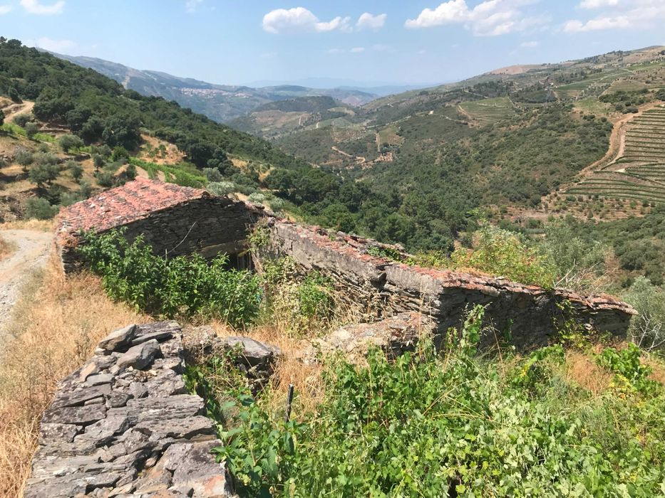 Conjunto de Terrenos Rústicos e Urbanos para Venda