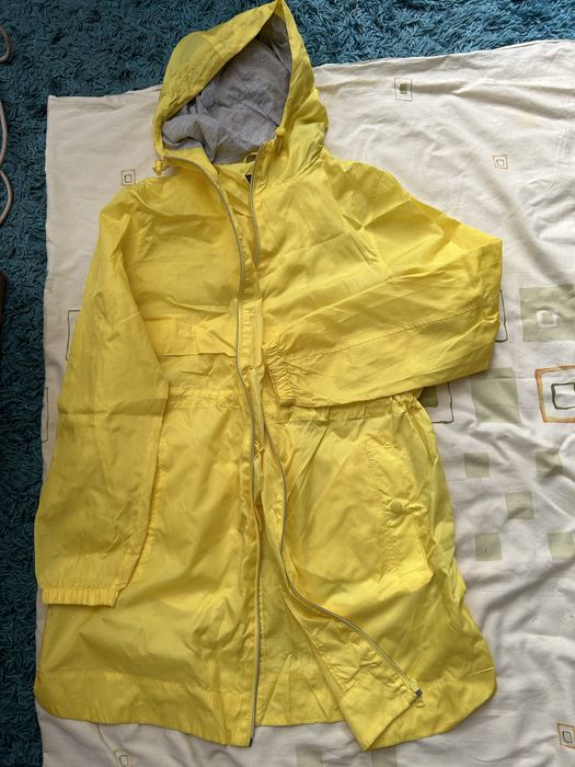 Дождевики  плотные, тонкие