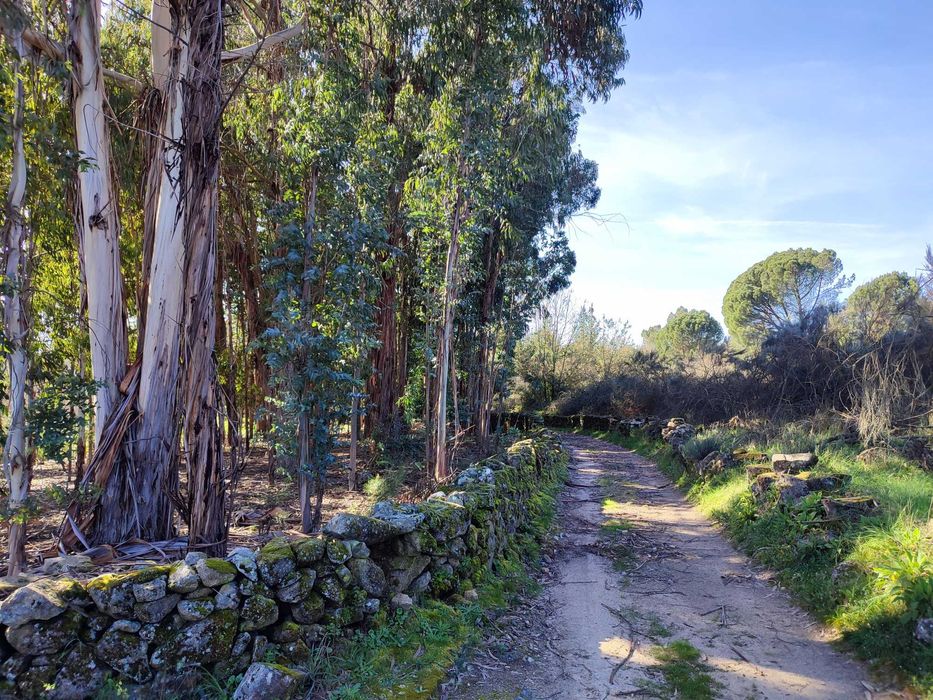 Vendo Terrenos - Vários