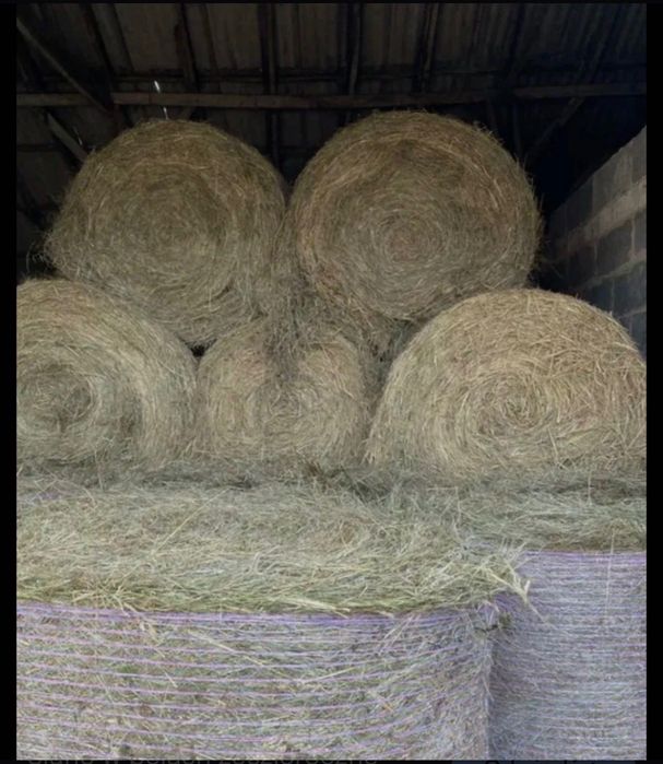 Sprzedam suche baloty siana