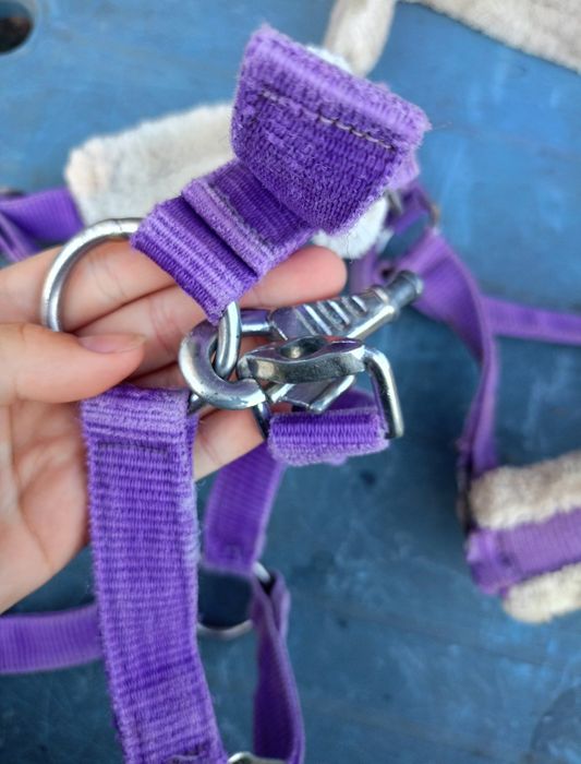 Kantary kilka sztuk! Pony/ shetty