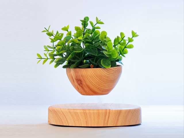 Vaso Flor FLUTUANTE Decorativo - ÚLTIMAS UNIDADES