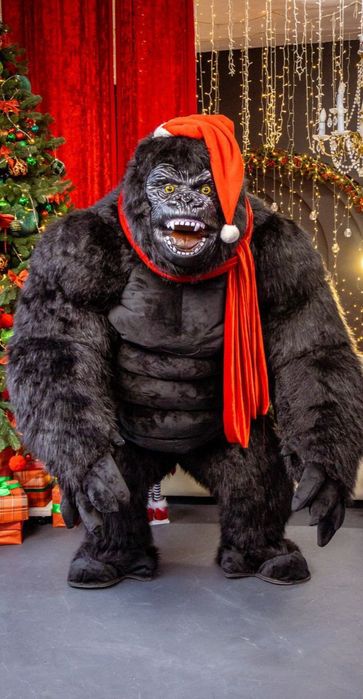 Белый мишка, белый медведь ,Пес Патрон, Зайка,, аниматор поздравление,