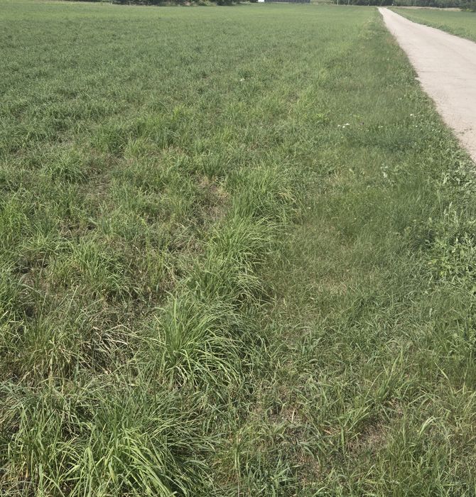 Działki na sprzedaż Rzakta